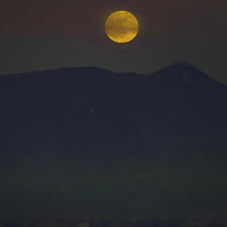 Sweetest Wish Беванья